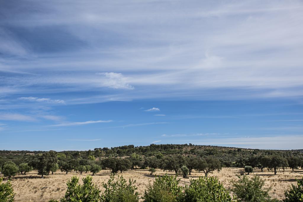 Herdade Dos Alfanges "The Barn" Viana do Alentejo Luaran gambar